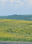 Uitzicht