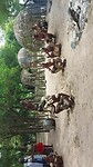 Dansers