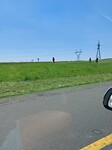 Grasmaaien met een kantjesmaaier