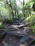 Wandeling naar Lake Tama