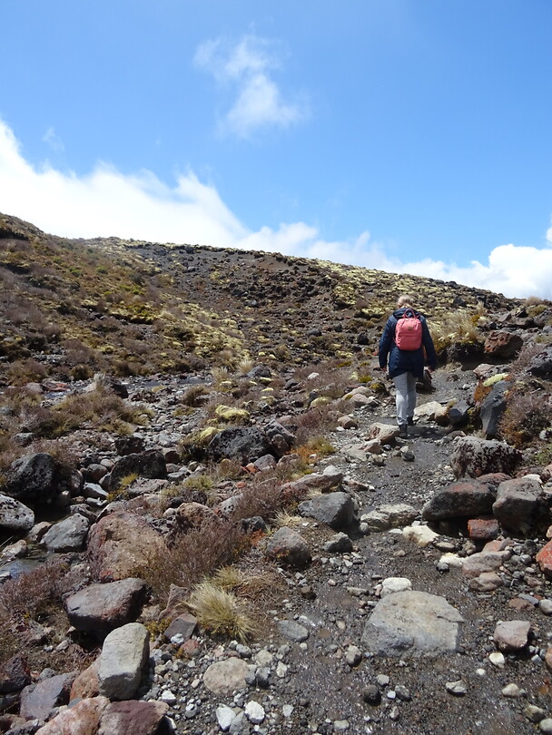 Wandeling naar Lake Tama