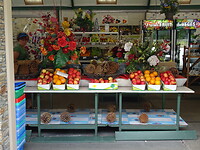 Mrs. Jones fruitwinkel