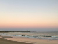 Sunset at the beach with the penguins parade