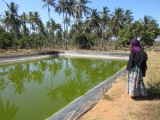 water