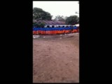 Perani