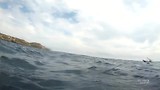 Manta spotten