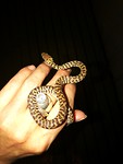 Little Snake