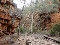 Flinder Chase National park