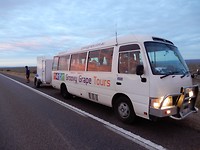 Groovy Grapes bus
