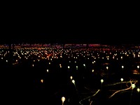 Field of lights