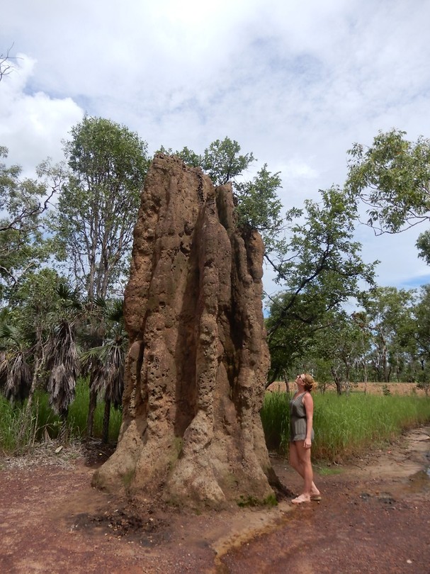 Termite hill