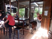 Er staat een paard in de gang