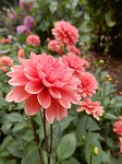 Botanic Garden