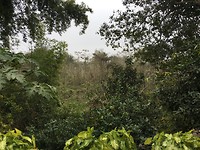 974F0618-0F70-434F-9036-C6F28568C4BC