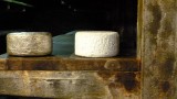 Roquefort