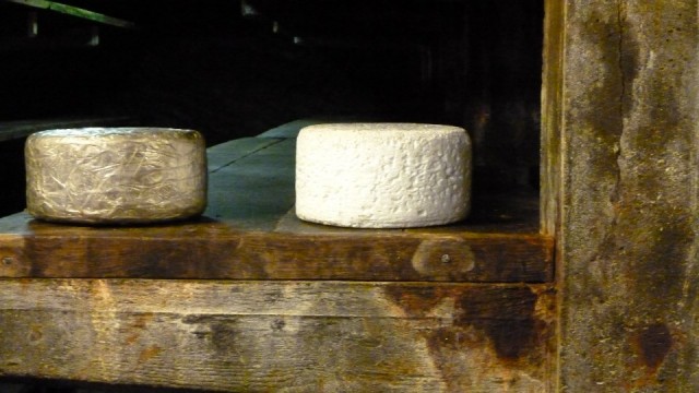Roquefort
