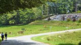 wandeling terug naar de camping