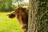 Landgoed Soelen