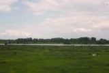 wandelen
