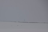 herten ver weg