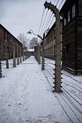 Auschwitz - Birkenau