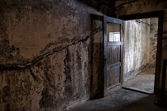 Auschwitz - Birkenau