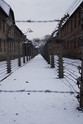 Auschwitz - Birkenau