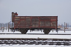 Auschwitz - Birkenau