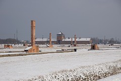 Auschwitz - Birkenau