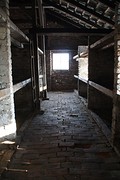 Auschwitz - Birkenau
