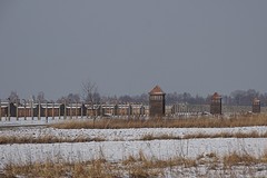 Auschwitz - Birkenau