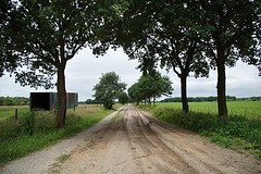 wandelen in de buurt van Steenbergen