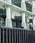 Star Ferrie