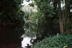 De kreek