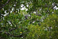 rps20161023_093137
