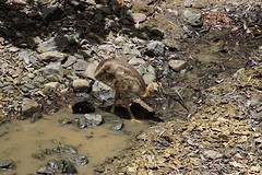 rps20161023_093329