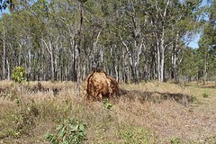 rps20161023_095410