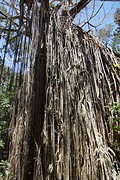 rps20161023_095720