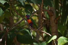 rps20161025_080706