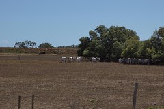 rps20161025_081647