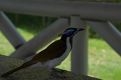 rps20161025_081828