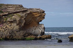 rps20161111_081136