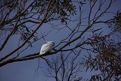 rps20161111_082028
