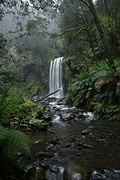 rps20161112_081023