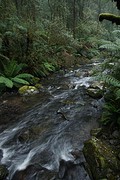 rps20161112_081105