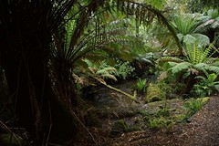 rps20161112_081159
