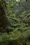 rps20161112_081346