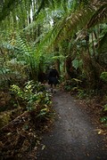 rps20161112_081443