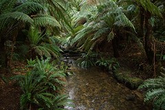 rps20161112_081531