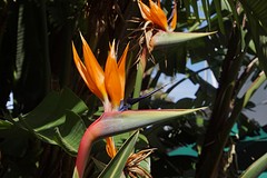 rps20161116_113439